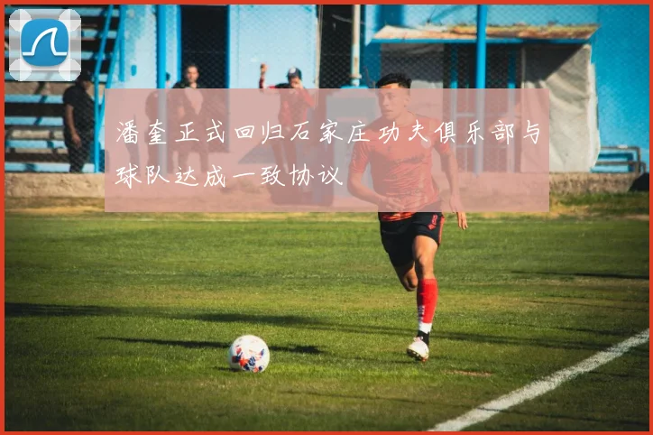 潘奎正式回归石家庄功夫俱乐部与球队达成一致协议